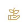 Financial Advisory